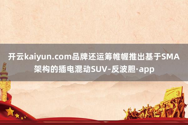 开云kaiyun.com品牌还运筹帷幄推出基于SMA架构的插电混动SUV-反波胆·app