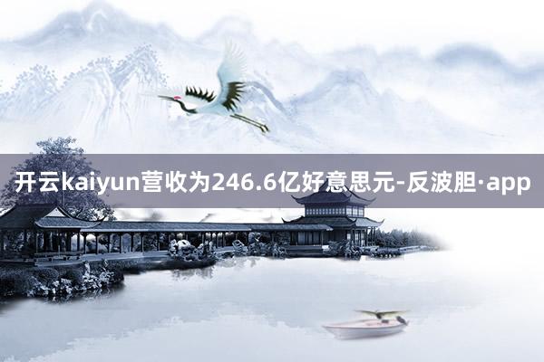 开云kaiyun营收为246.6亿好意思元-反波胆·app