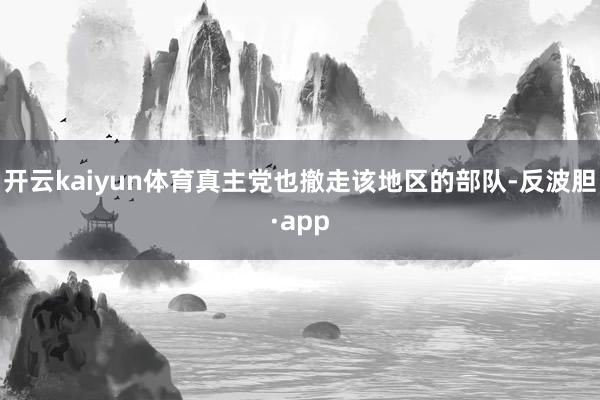 开云kaiyun体育真主党也撤走该地区的部队-反波胆·app