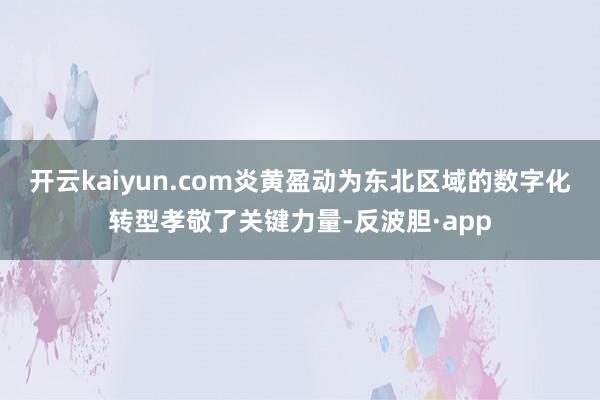 开云kaiyun.com炎黄盈动为东北区域的数字化转型孝敬了关键力量-反波胆·app