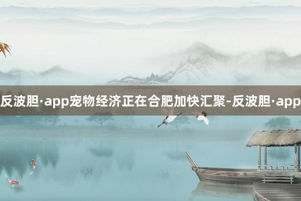 反波胆·app宠物经济正在合肥加快汇聚-反波胆·app