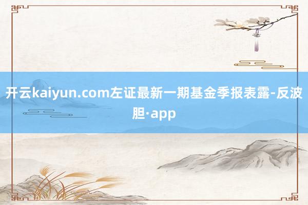 开云kaiyun.com左证最新一期基金季报表露-反波胆·app