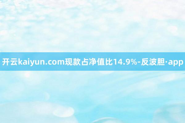 开云kaiyun.com现款占净值比14.9%-反波胆·app