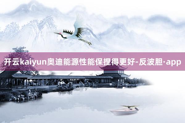 开云kaiyun奥迪能源性能保捏得更好-反波胆·app