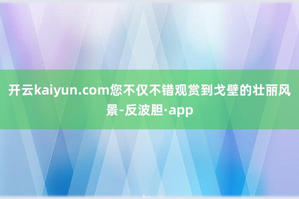 开云kaiyun.com您不仅不错观赏到戈壁的壮丽风景-反波胆·app