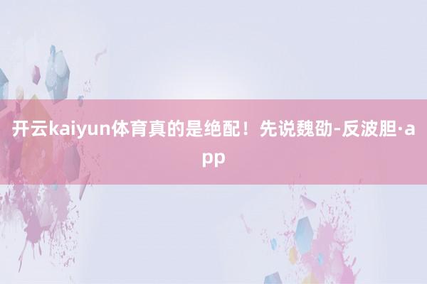 开云kaiyun体育真的是绝配！先说魏劭-反波胆·app