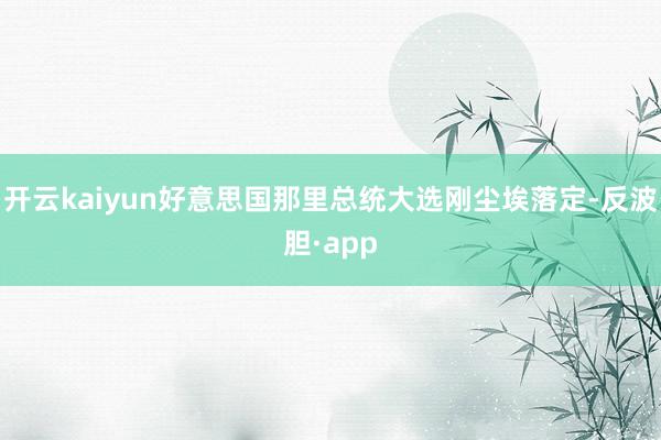 开云kaiyun好意思国那里总统大选刚尘埃落定-反波胆·app