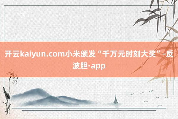 开云kaiyun.com小米颁发“千万元时刻大奖”-反波胆·app