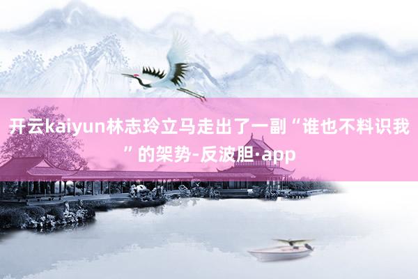 开云kaiyun林志玲立马走出了一副“谁也不料识我”的架势-反波胆·app