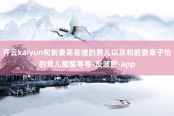 开云kaiyun和前妻葛荟婕的男儿以及和前妻章子怡的男儿醒醒等等-反波胆·app