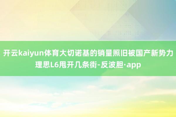 开云kaiyun体育大切诺基的销量照旧被国产新势力理思L6甩开几条街-反波胆·app