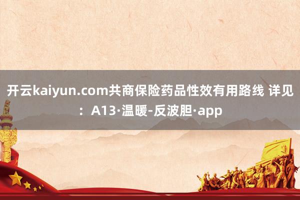 开云kaiyun.com共商保险药品性效有用路线 　　详见：A13·温暖-反波胆·app