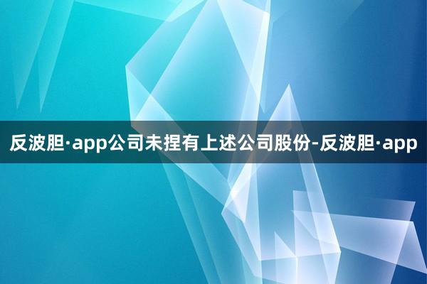 反波胆·app公司未捏有上述公司股份-反波胆·app