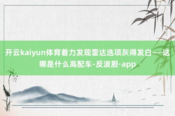 开云kaiyun体育着力发现雷达选项灰得发白——这哪是什么高配车-反波胆·app