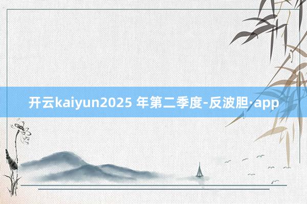 开云kaiyun2025 年第二季度-反波胆·app