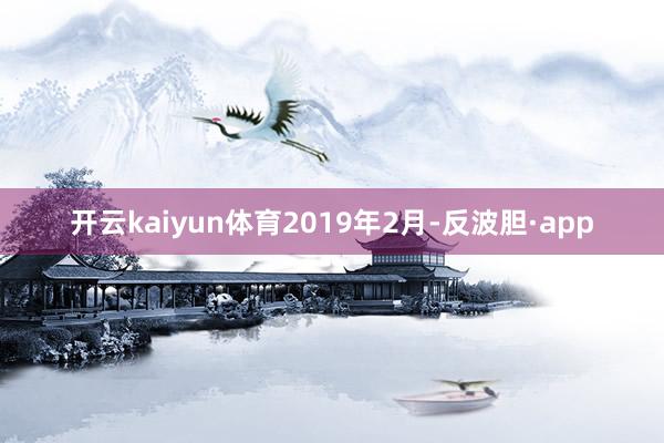 开云kaiyun体育　　2019年2月-反波胆·app