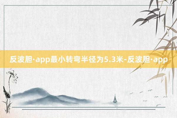 反波胆·app最小转弯半径为5.3米-反波胆·app