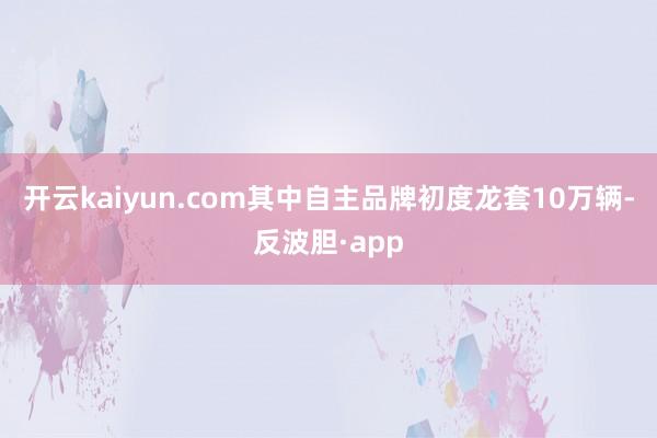 开云kaiyun.com其中自主品牌初度龙套10万辆-反波胆·app