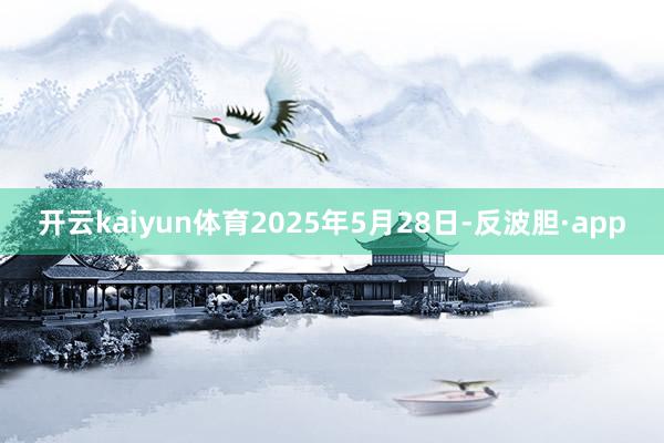 开云kaiyun体育2025年5月28日-反波胆·app