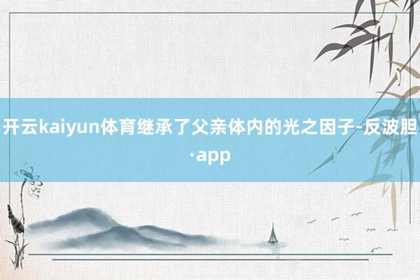 开云kaiyun体育继承了父亲体内的光之因子-反波胆·app