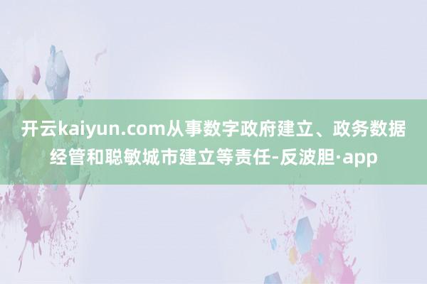 开云kaiyun.com从事数字政府建立、政务数据经管和聪敏城市建立等责任-反波胆·app