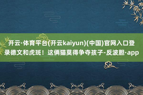 开云·体育平台(开云kaiyun)(中国)官网入口登录德文和虎斑！这俩猫莫得争夺孩子-反波胆·app