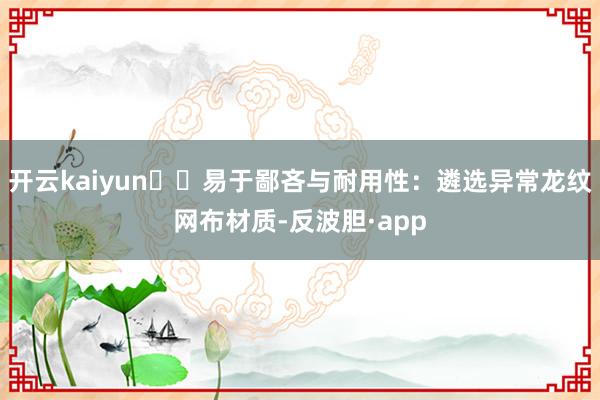 开云kaiyun☑️易于鄙吝与耐用性：遴选异常龙纹网布材质-反波胆·app