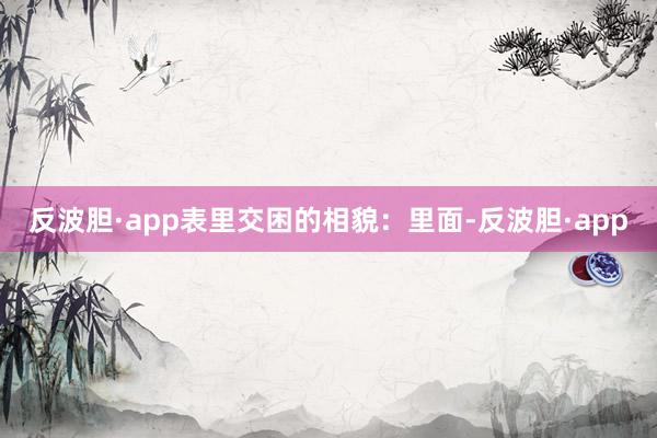 反波胆·app表里交困的相貌：里面-反波胆·app
