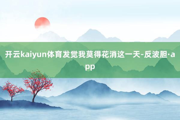 开云kaiyun体育发觉我莫得花消这一天-反波胆·app