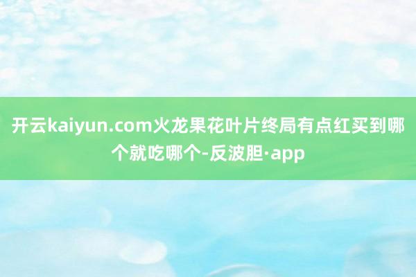 开云kaiyun.com火龙果花叶片终局有点红买到哪个就吃哪个-反波胆·app
