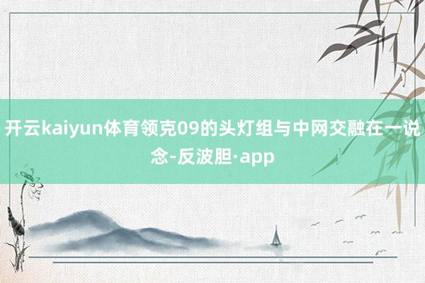 开云kaiyun体育领克09的头灯组与中网交融在一说念-反波胆·app