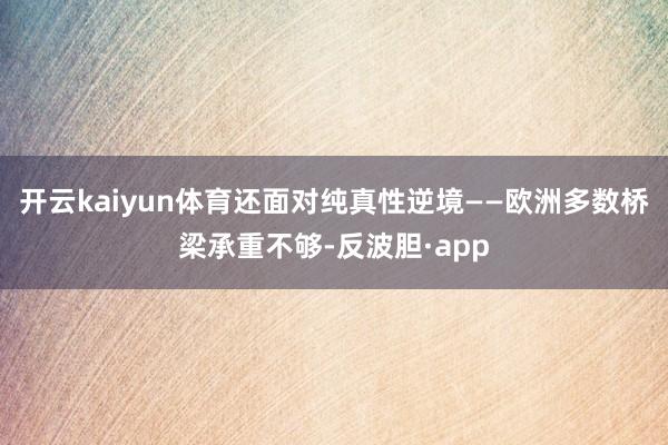 开云kaiyun体育还面对纯真性逆境——欧洲多数桥梁承重不够-反波胆·app