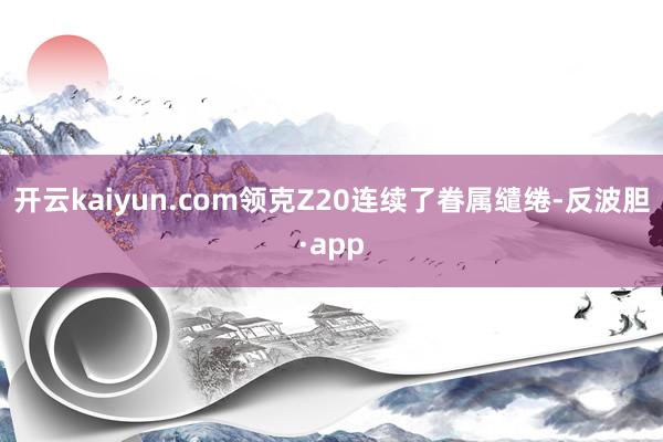 开云kaiyun.com领克Z20连续了眷属缱绻-反波胆·app