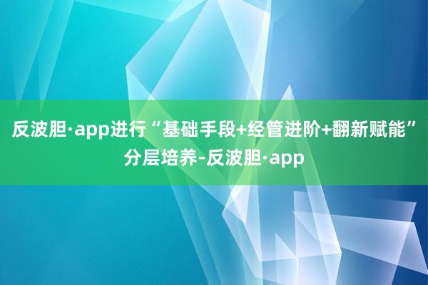 反波胆·app进行“基础手段+经管进阶+翻新赋能”分层培养-反波胆·app