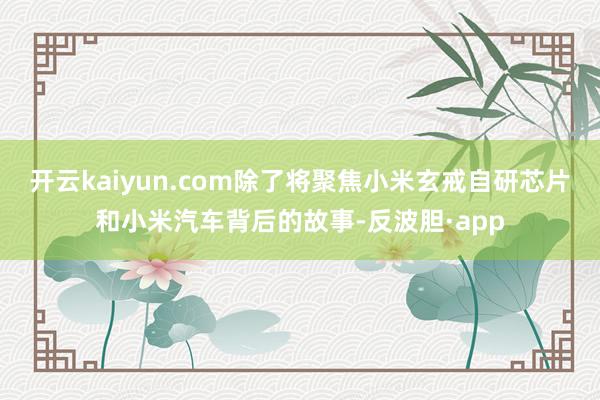 开云kaiyun.com除了将聚焦小米玄戒自研芯片和小米汽车背后的故事-反波胆·app