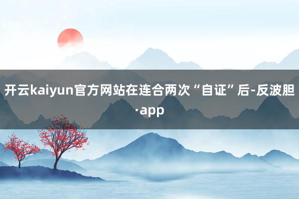 开云kaiyun官方网站在连合两次“自证”后-反波胆·app