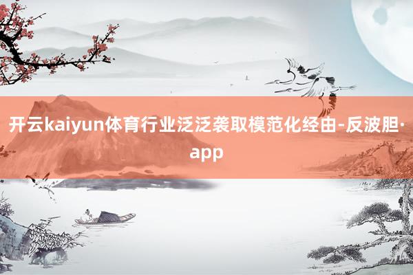开云kaiyun体育行业泛泛袭取模范化经由-反波胆·app