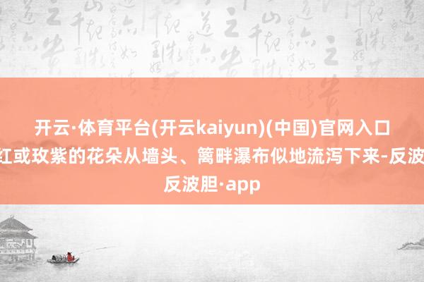 开云·体育平台(开云kaiyun)(中国)官网入口登录艳红或玫紫的花朵从墙头、篱畔瀑布似地流泻下来-反波胆·app