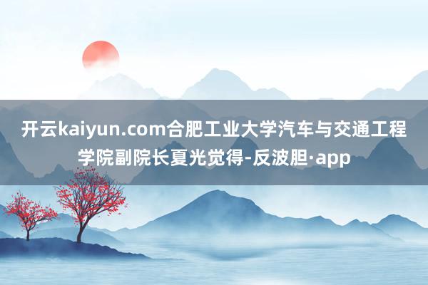 开云kaiyun.com合肥工业大学汽车与交通工程学院副院长夏光觉得-反波胆·app
