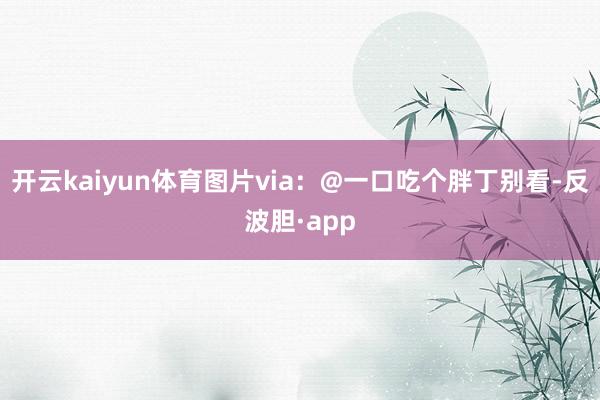 开云kaiyun体育图片via:@一口吃个胖丁别看-反波胆·app