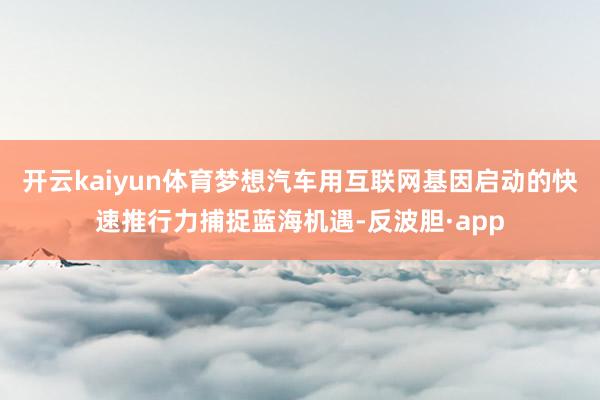 开云kaiyun体育梦想汽车用互联网基因启动的快速推行力捕捉蓝海机遇-反波胆·app