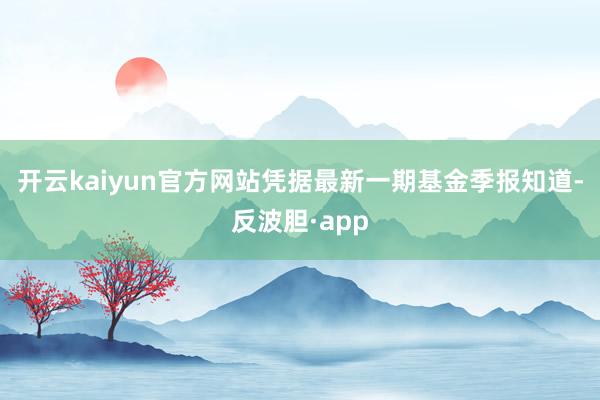 开云kaiyun官方网站凭据最新一期基金季报知道-反波胆·app