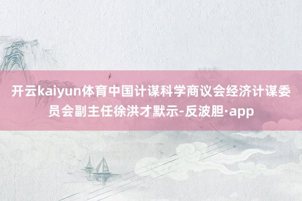 开云kaiyun体育中国计谋科学商议会经济计谋委员会副主任徐洪才默示-反波胆·app