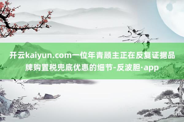 开云kaiyun.com一位年青顾主正在反复证据品牌购置税兜底优惠的细节-反波胆·app