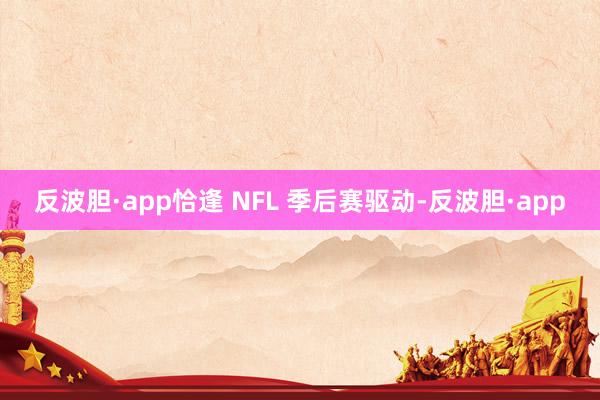 反波胆·app恰逢 NFL 季后赛驱动-反波胆·app