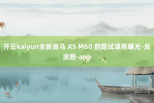 开云kaiyun全新良马 X5 M60 的路试谍照曝光-反波胆·app