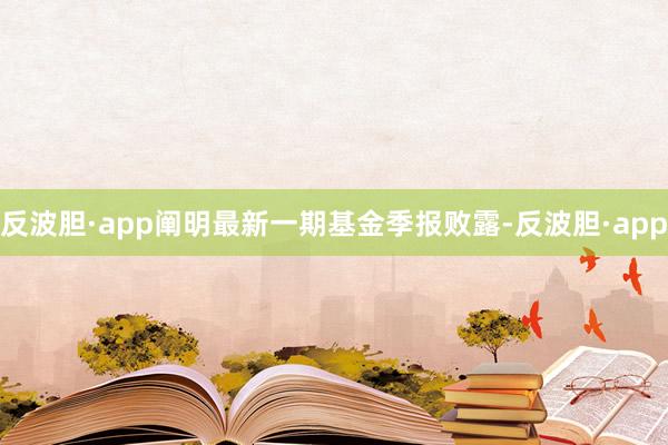 反波胆·app阐明最新一期基金季报败露-反波胆·app