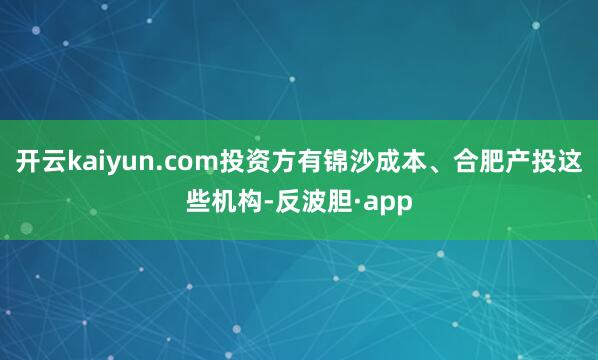 开云kaiyun.com投资方有锦沙成本、合肥产投这些机构-