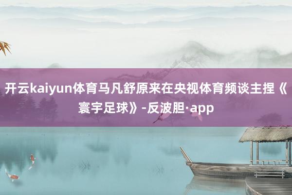 开云kaiyun体育马凡舒原来在央视体育频谈主捏《寰宇足球》