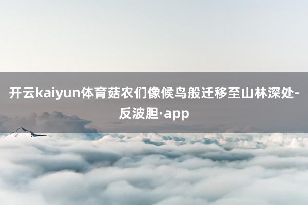 开云kaiyun体育菇农们像候鸟般迁移至山林深处-反波胆·a